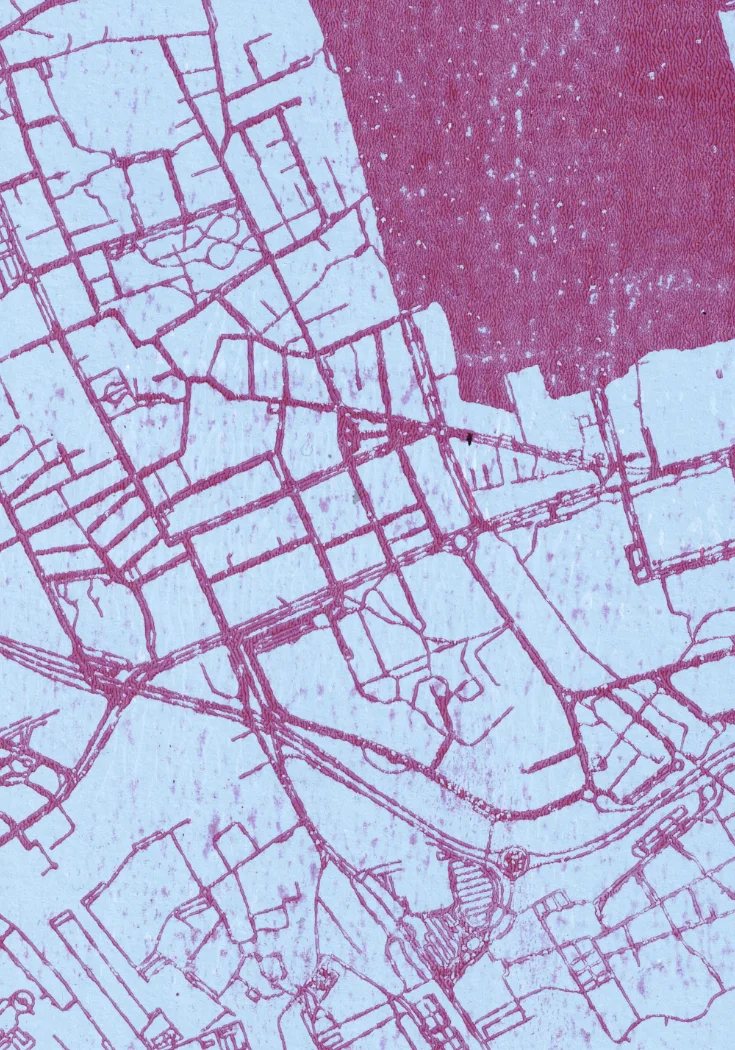 Image Detail